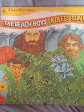 Endless Summer-Themed Decorative Record Cover in Green